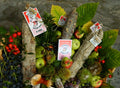 Salame Dedomenici filzetta Varzi DOP (40 €/Kg)